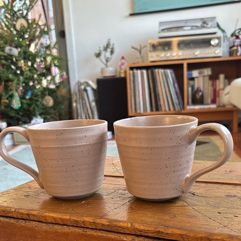 Bee & Willow Brown Tan Speckled Ceramic Mugs - Set of 2
